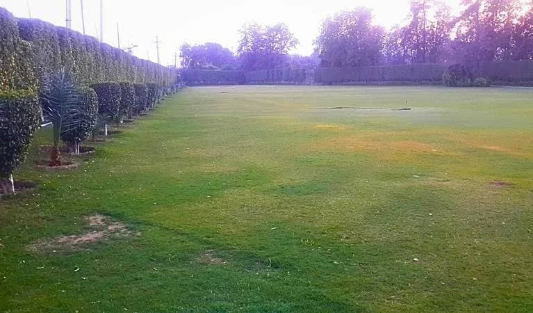 Privus lawn lined with a tall green hedge